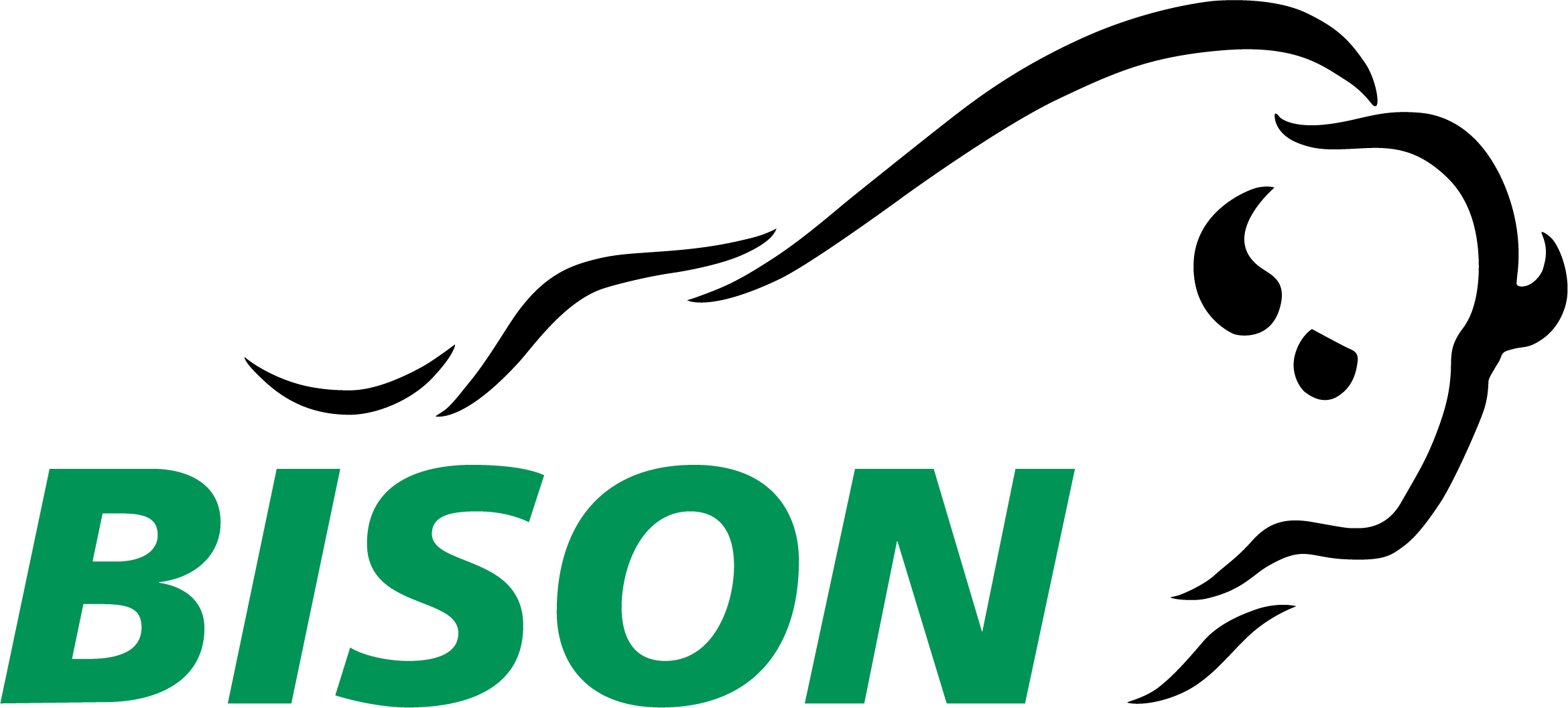 Bison Schweiz AG